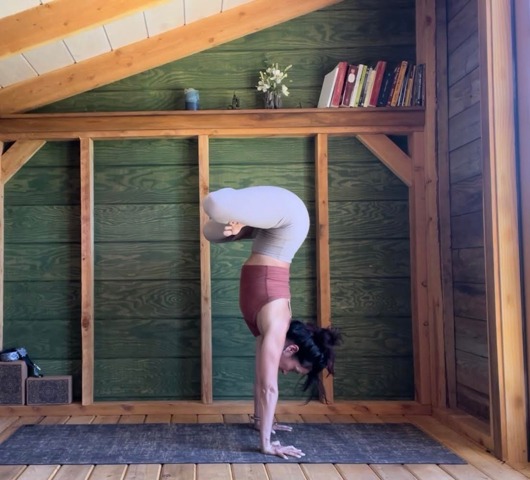Ashtanga Vinyasa Yoga Led Class ~ Half Primary Series